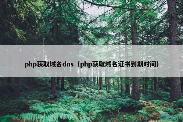 php获取域名dns（php获取域名证书到期时间）