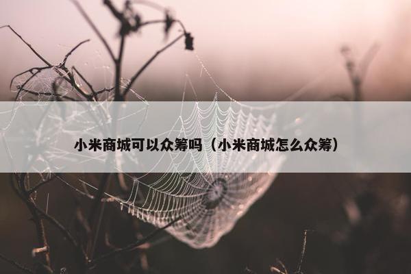 小米商城可以众筹吗（小米商城怎么众筹）