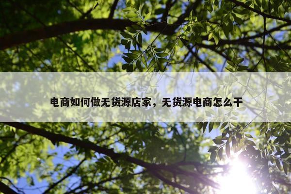 电商如何做无货源店家，无货源电商怎么干