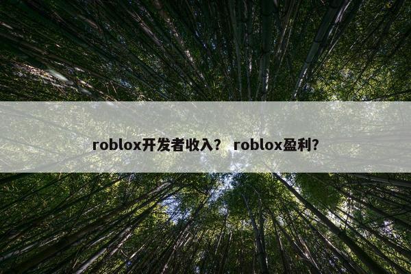 roblox开发者收入？ roblox盈利？