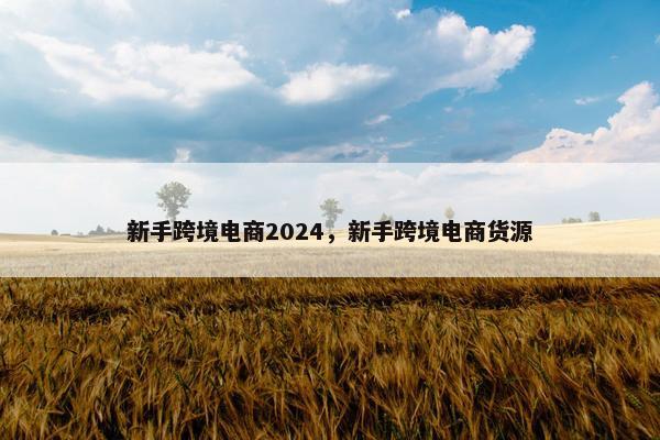 新手跨境电商2024，新手跨境电商货源