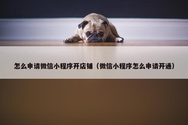 怎么申请微信小程序开店铺（微信小程序怎么申请开通）