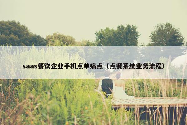 saas餐饮企业手机点单痛点（点餐系统业务流程）