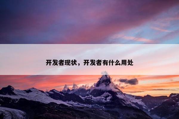 开发者现状，开发者有什么用处