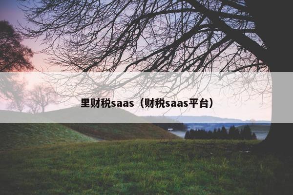 里财税saas（财税saas平台）