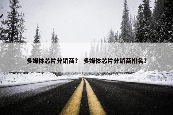 多媒体芯片分销商？ 多媒体芯片分销商排名？