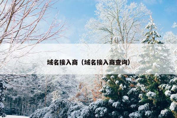 域名接入商（域名接入商查询）