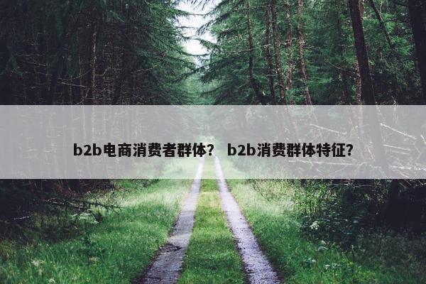 b2b电商消费者群体？ b2b消费群体特征？