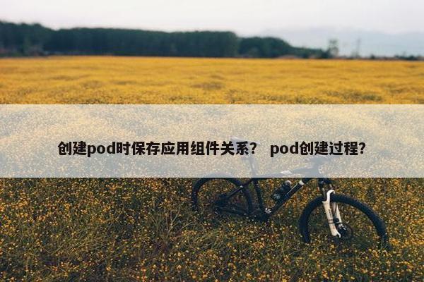 创建pod时保存应用组件关系？ pod创建过程？