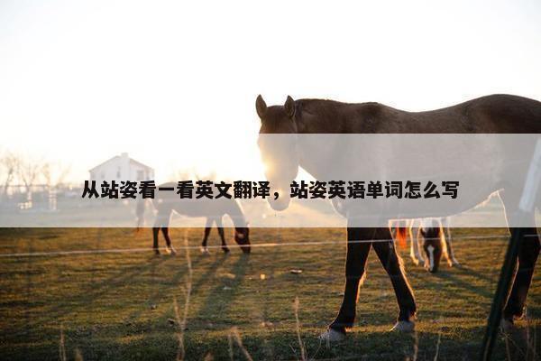 从站姿看一看英文翻译，站姿英语单词怎么写