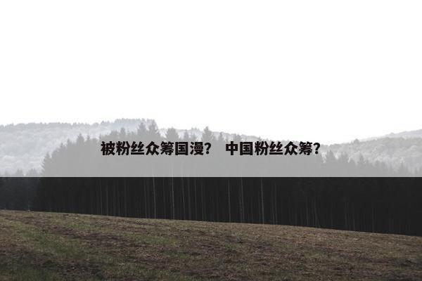 被粉丝众筹国漫？ 中国粉丝众筹？