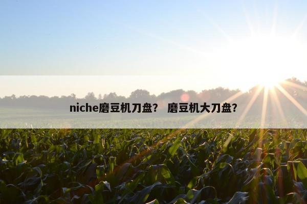 niche磨豆机刀盘？ 磨豆机大刀盘？