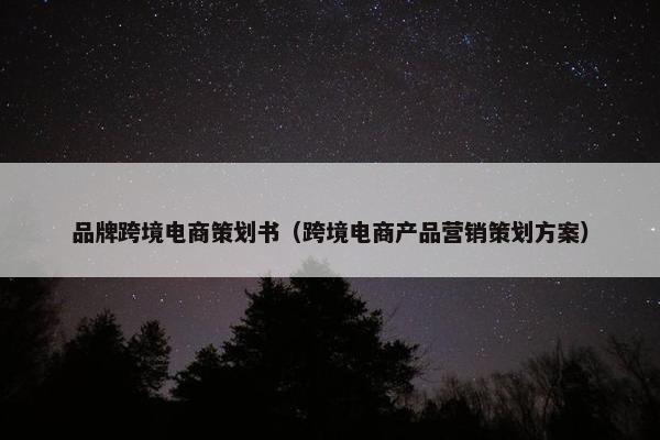 品牌跨境电商策划书（跨境电商产品营销策划方案）