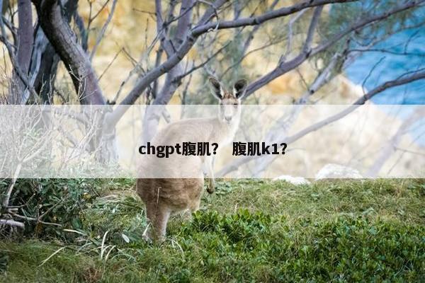 chgpt腹肌？ 腹肌k1？