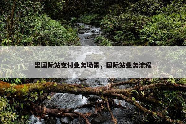 里国际站支付业务场景，国际站业务流程