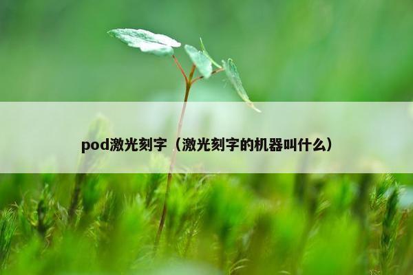 pod激光刻字（激光刻字的机器叫什么）