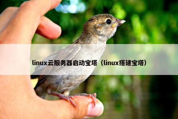 linux云服务器启动宝塔（linux搭建宝塔）