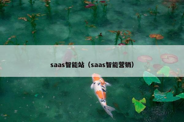 saas智能站（saas智能营销）