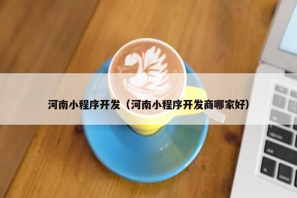 河南小程序开发（河南小程序开发商哪家好）