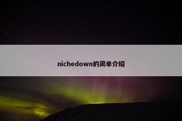 nichedown的简单介绍