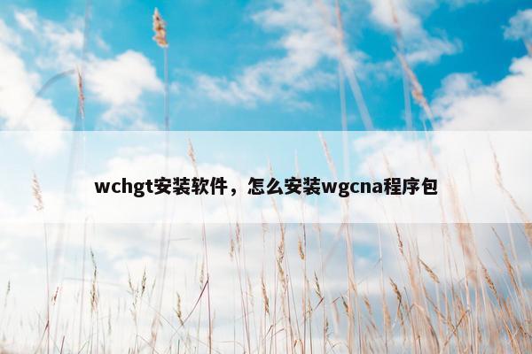 wchgt安装软件，怎么安装wgcna程序包