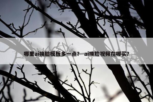 哪里ai换脸模板多一点？ ai换脸视频在哪买？