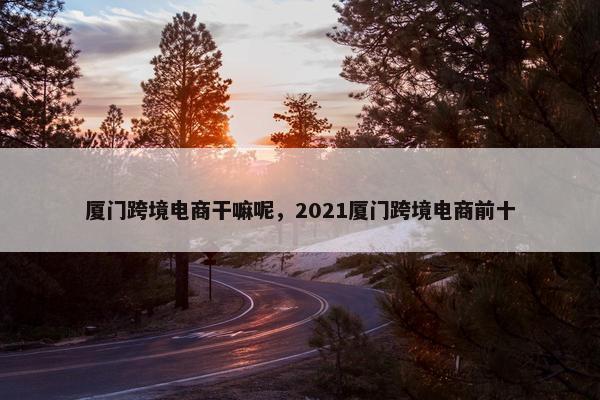 厦门跨境电商干嘛呢，2021厦门跨境电商前十