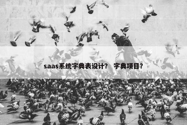 saas系统字典表设计？ 字典项目？