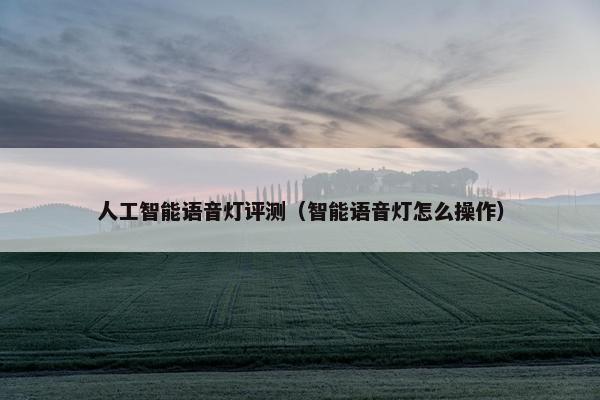 人工智能语音灯评测（智能语音灯怎么操作）