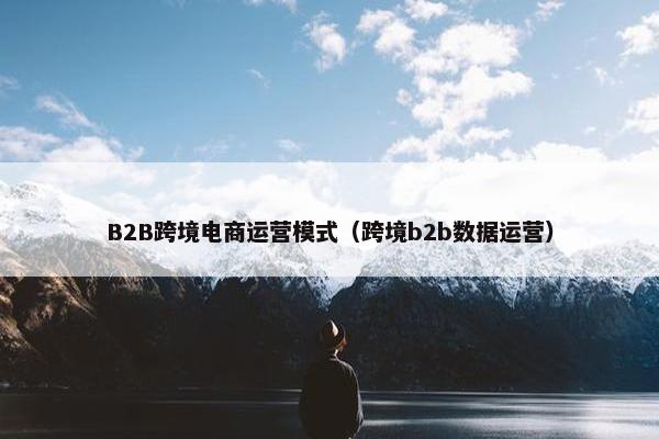 B2B跨境电商运营模式（跨境b2b数据运营）