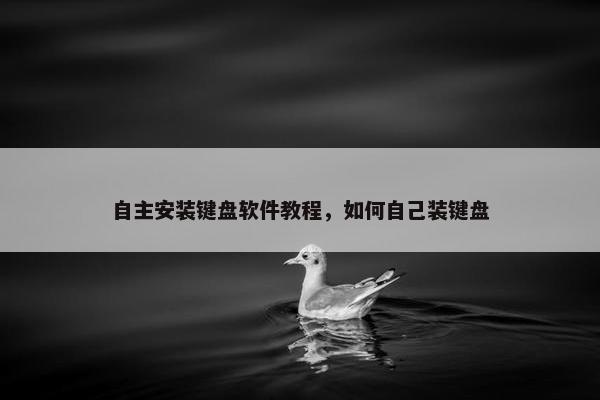 自主安装键盘软件教程，如何自己装键盘