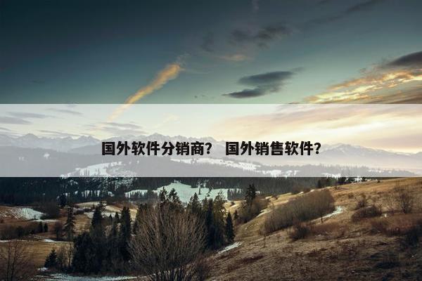 国外软件分销商？ 国外销售软件？