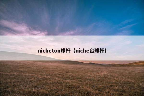nicheton球杆（niche台球杆）