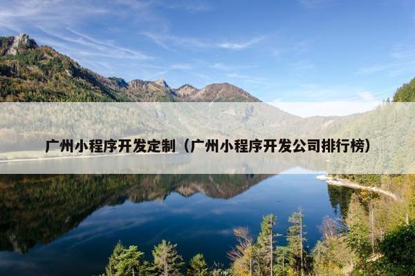 广州小程序开发定制（广州小程序开发公司排行榜）