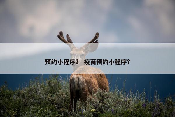 预约小程序？ 疫苗预约小程序？