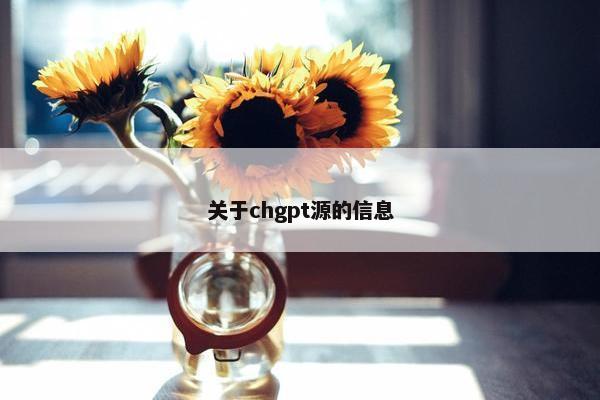 关于chgpt源的信息