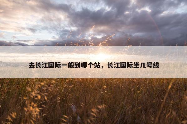 去长江国际一般到哪个站，长江国际坐几号线