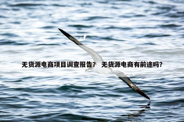 无货源电商项目调查报告？ 无货源电商有前途吗？