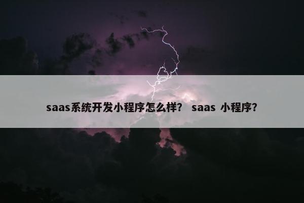 saas系统开发小程序怎么样？ saas 小程序？