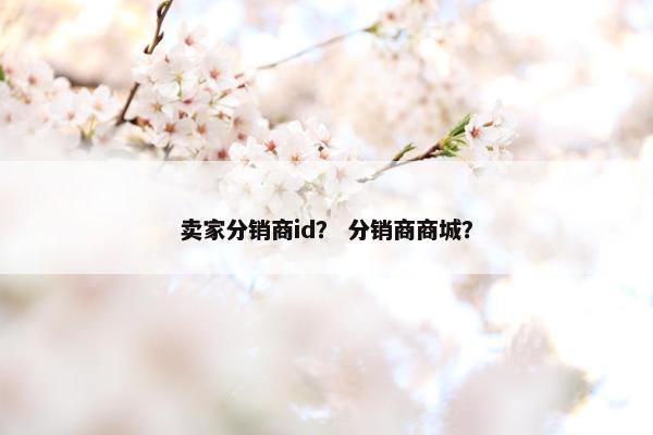 卖家分销商id？ 分销商商城？