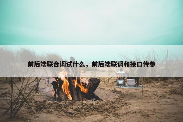 前后端联合调试什么，前后端联调和接口传参