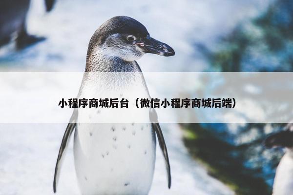 小程序商城后台（微信小程序商城后端）