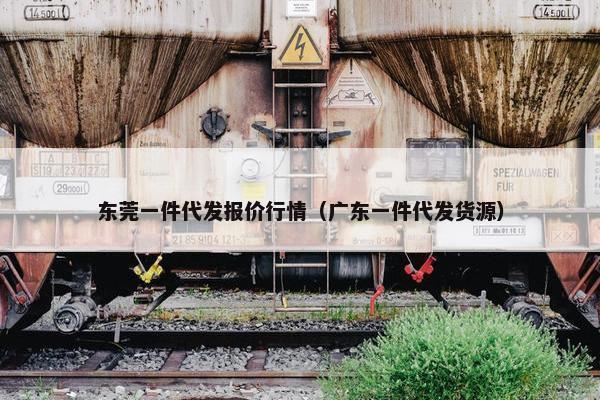 东莞一件代发报价行情（广东一件代发货源）