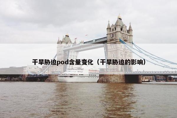 干旱胁迫pod含量变化（干旱胁迫的影响）