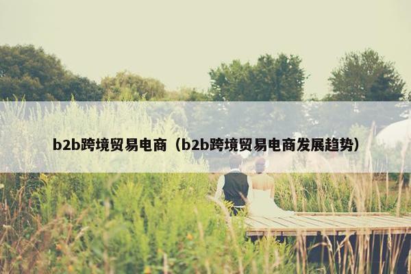 b2b跨境贸易电商（b2b跨境贸易电商发展趋势）