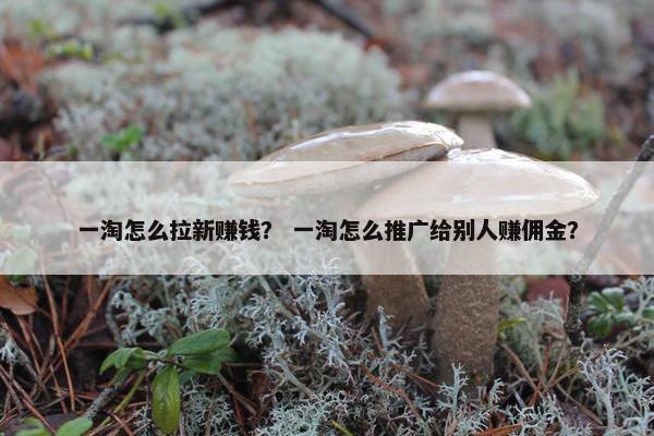 一淘怎么拉新赚钱？ 一淘怎么推广给别人赚佣金？