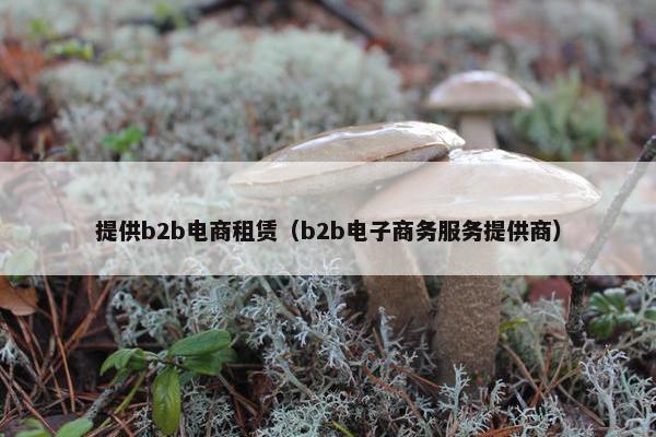 提供b2b电商租赁（b2b电子商务服务提供商）
