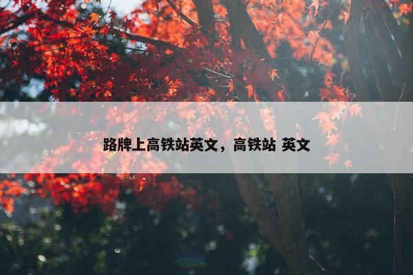 路牌上高铁站英文，高铁站 英文