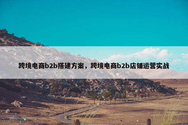 跨境电商b2b搭建方案，跨境电商b2b店铺运营实战
