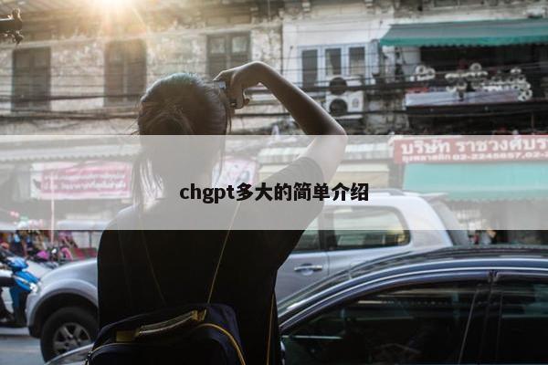 chgpt多大的简单介绍